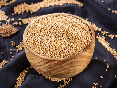 Hardal tohumu - Sinapis alba sarı