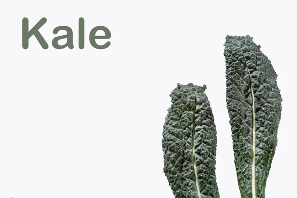 Col Rizada Negra Toscana Brassica Oleracea Var — Foto de Stock