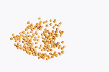 Beyaz arkaplanda sarı hardal tohumları - Sinapis alba.