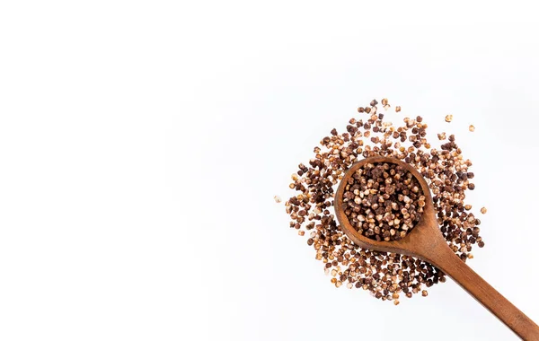 Graines Quinoa Chocolat Dans Cuillère Bois Chenopodium Quinoa — Photo