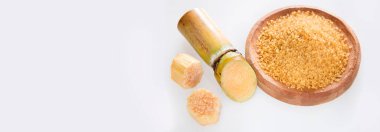 Kahverengi şekerli bir kamış parçası - Saccharum officinarum