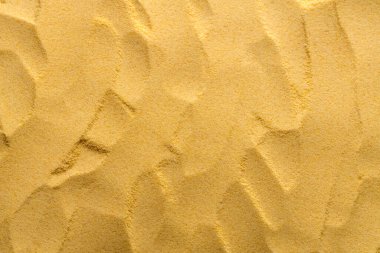 Dokulu buğday irmikli arka plan - Triticum