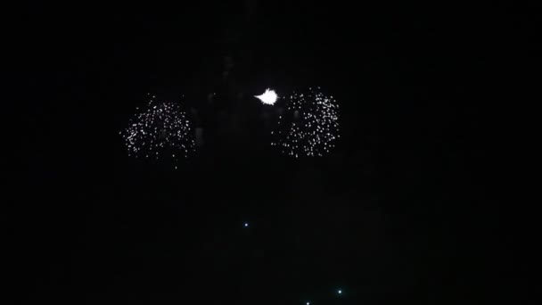 Fuegos Artificiales Ciudad Noche Saludo Vacaciones Aniversario Personas Ciudad Noche — Vídeo de stock