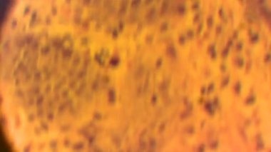   molküller, bilim, atomlar, tıp, cihaz, dünya, mikroplar, sağlık