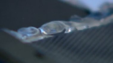 bilimsel araştırma, laboratuvar, bilim, deney, moleküller, parçacıklar, biyoloji, kimya, atomlar, sağlık, bakteri, teknoloji, meslek, ekipman