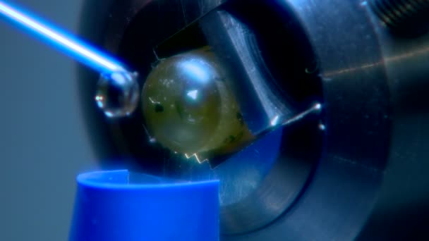 Recherche Scientifique Laboratoire Science Expérience Molécules Particules Biologie Chimie Atomes — Video