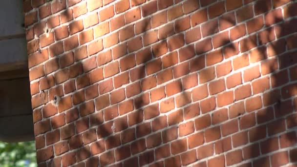 Historische Ziegelmauer Einem Sonnigen Tag — Stockvideo