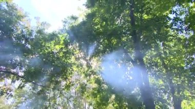 heykel sanatı mastering sanat yaratıcı yaklaşım