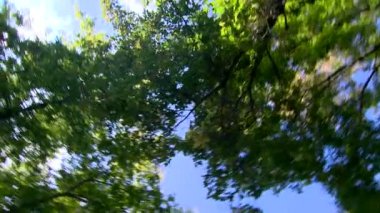 heykel sanatı mastering sanat yaratıcı yaklaşım