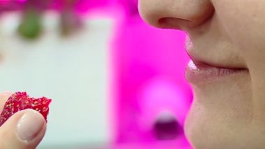 Güzellik berry, vitaminler yemek için dondurulmuş