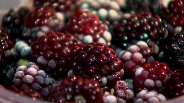 Beauty Frozen Berry — Stock Video