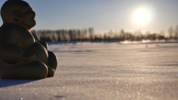 Медитація Просторі Засніженого Поля Зимової Погоди — стокове відео