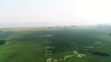 genç bir el duvara bir resim çiziyor