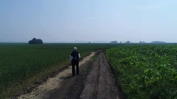夏の日にロシアの小麦畑を飛ぶ — ストック動画