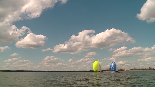 Régate Voile Mer Par Une Belle Journée Été Ensoleillée — Video