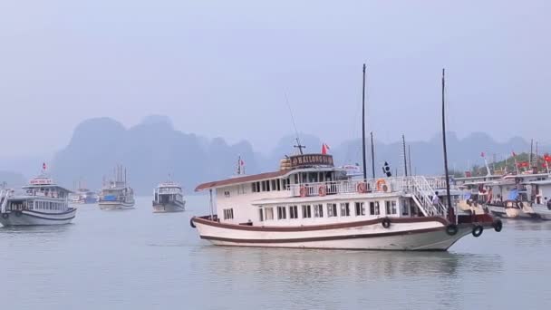 ハロン湾は クアン Ninh ベトナム 2019 ビューのハロン湾クルーズ船トゥアン チャウ国際マリーナ クアンニン省ハロン湾 ベトナムのハロン湾桟橋で駅で — ストック動画