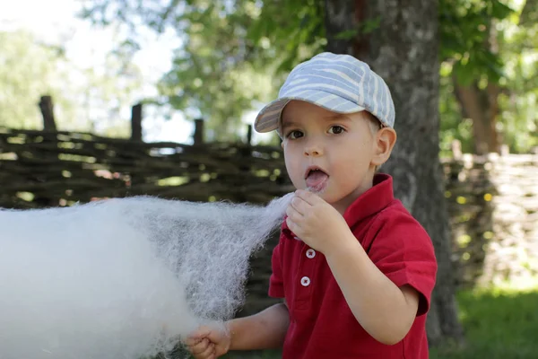 Niño Divertido Comiendo Algodón Azúcar Parque Sorprende Boca Está Abierta — Foto de Stock