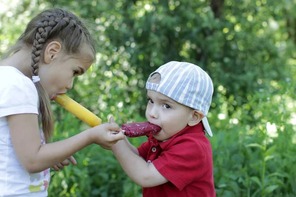 Pretty Little Girl Feeding Younger Brother Ice Cream Park Summer — Stock Photo, Image