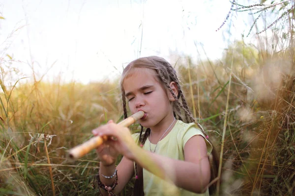 Musik- und Naturkonzept — Stockfoto