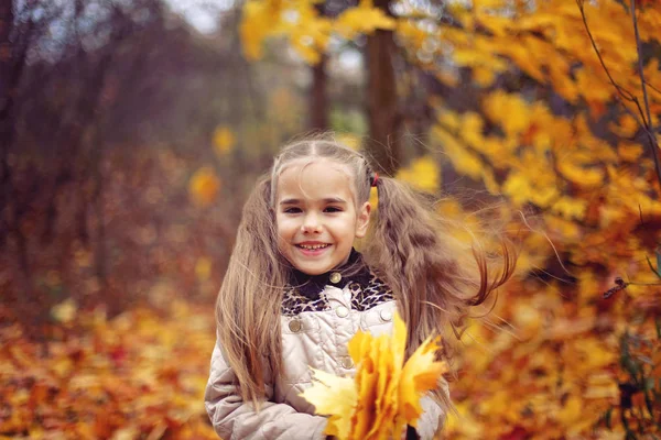 Aranyos kislány gyalogos és összegyűjtése őszi levelek — Stock Fotó