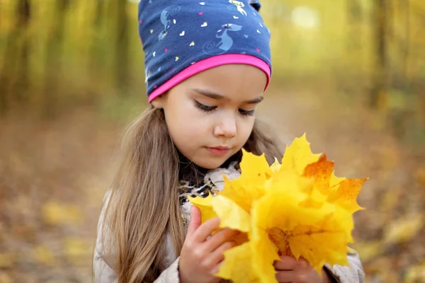 Cute little girl walking and gathering autumn leaves — Stock Photo, Image