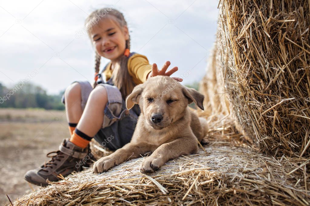 Cute girl playing with puppy on rolls of hay bales in field