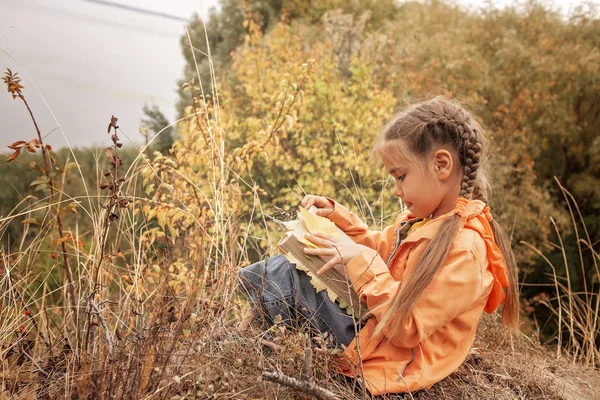 Niña linda inteligente sosteniendo un libro con hojas amarillas secas — Foto de Stock