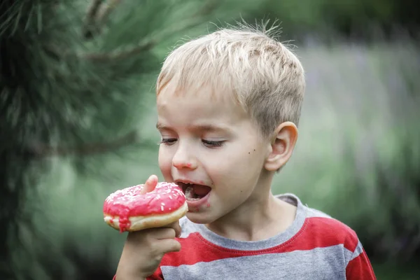 초원에서 밝은 분홍색 도넛을 먹고 있는 행복 한 소년 — 스톡 사진