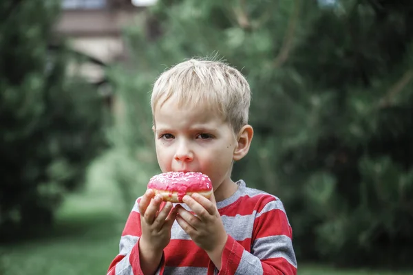 Gelukkige jongen eet een felroze donut op de weide — Stockfoto