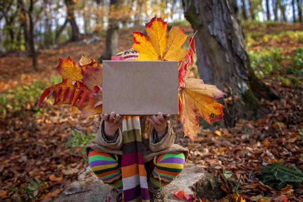 Fall season, hello autumn. Stylish 7 years old girl sitting on the stub in the forest and holding a box with golden leaves, place for text, cope space, family weekend, beautiful nature outside