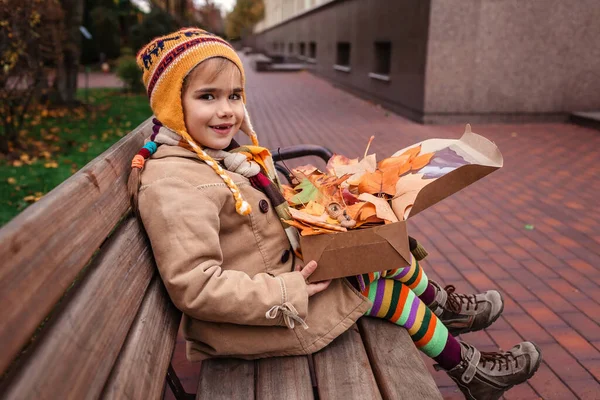 秋天有机收获 可爱的女孩手里拿着一个盒子 盒子里装着金黄的叶子 球果和橡子 这些都是她在公园里采集的 与秋天的自然一起枯萎了 — 图库照片