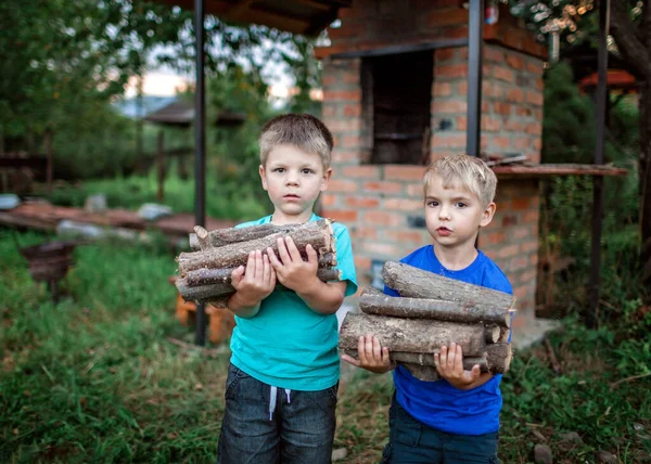 Alternative Fuel Heating Fireplace Two Handsome Boys Holding Stock Wooden — Stock Photo, Image