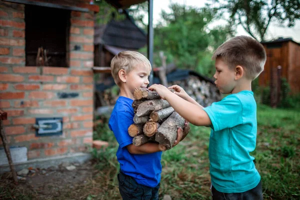 Combustible Alternativo Para Calefacción Chimenea Dos Chicos Guapos Sosteniendo Stock — Foto de Stock