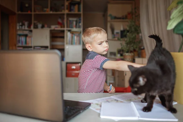 Distant education, online class meeting. 5-6 years school boy studying homework during his online lesson at home, but his cat sitting on copybook and interferes, true online education