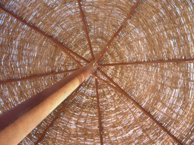 Plaj şemsiyesi altında