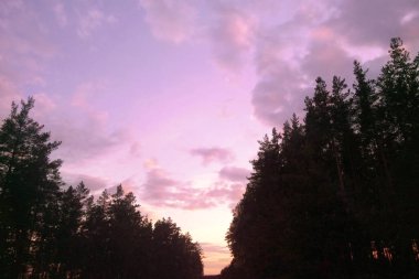 Kırmızı orman akşam