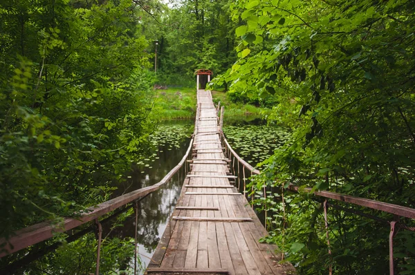 Hanging bridge in the forest