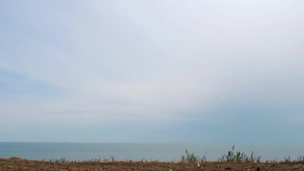 Menina Bonita Olha Para Mar Cidade Uma Altura — Vídeo de Stock