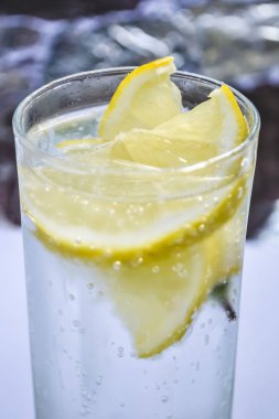 Mineral su limon ve nane yaprakları ile infüzyon.