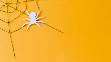 Örümcek ağı Cadılar Bayramı stili arka plan üzerinde görüntü.