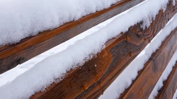 Panca Decorativa Legno Ricoperta Neve Nel Parco — Video Stock