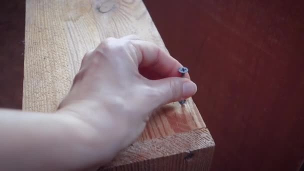 Frauenhände ziehen die Schraube mit einem Bohrer an. das Konzept der Grenzen traditioneller Geschlechterrollen. — Stockvideo