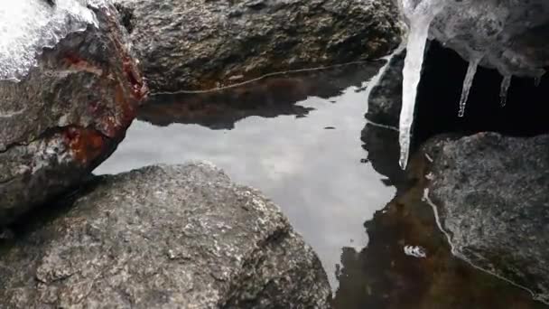 海上的石头上覆盖着冰, 上面挂着冰柱. — 图库视频影像