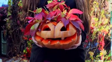 Kız, kırmızı yaprakların çıkıntılı olduğu oyulmuş bir balkabağı tutuyor. Cadılar Bayramı balkabağı sembolü.