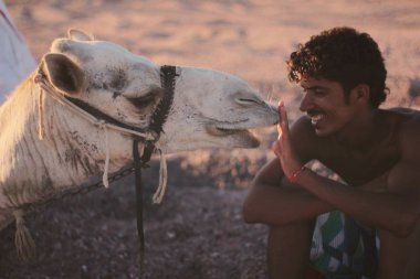 Bir genç gülümseyen Arap çocuk elini, Dahab, Mısır dokunmaya bir deve ile