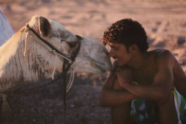 Genç gülümseyen Arap Erkek deve, Dahab, Mısır öpüşme