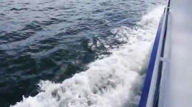 Gemilerin uyandırma gemisini kapatın, hareket eden bir teknenin görüntüsü. Mavi okyanus suyundan beyaz köpük. Yüksek kaliteli FullHD görüntüler