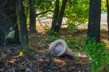 Seramik sifon tuvaleti ormanda yerde yatıyor. Yiyecek atığı olmayan evlerin çevre kirliliği sorunu