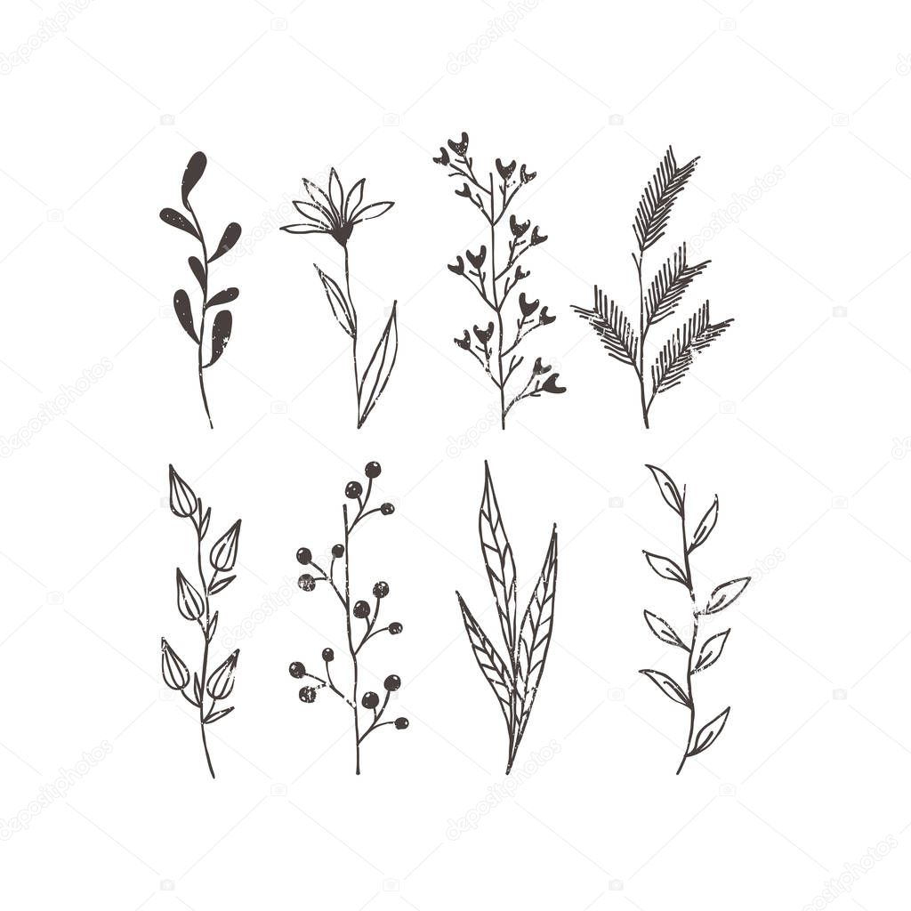 Cute vector rustic floral elements. Minimalism style. Postcard elements.