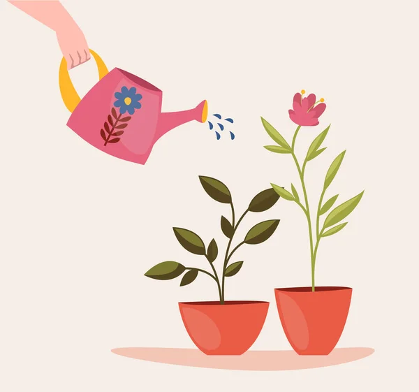 Κάποιος Ποτίζει Φυτά Στο Σπίτι Γλάστρες Χαριτωμένο Διάνυσμα Καρτούν Εικόνα — Διανυσματικό Αρχείο